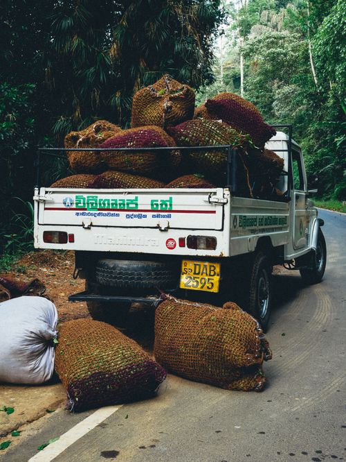 Free Tea Workers Truck in Sri Lanka Stock Photo
