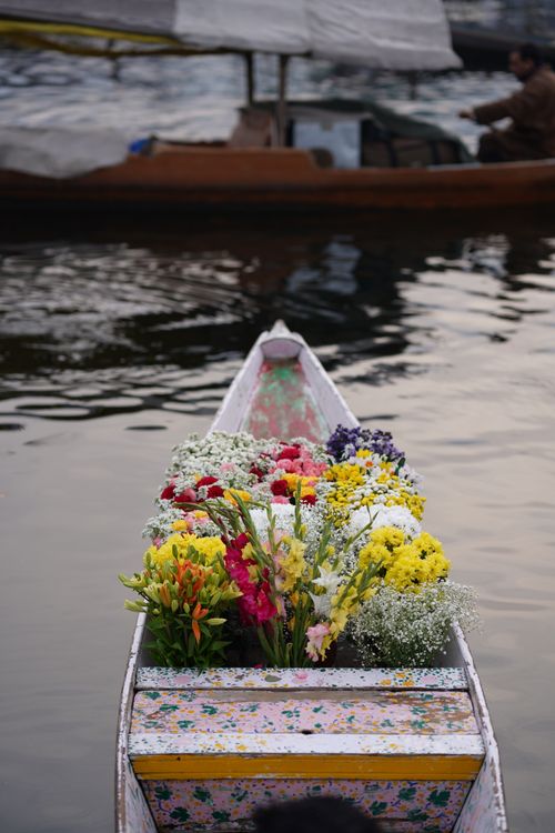 Free A wooden boat filled with vibrant flowers floats gently on a calm body of water. Stock Photo