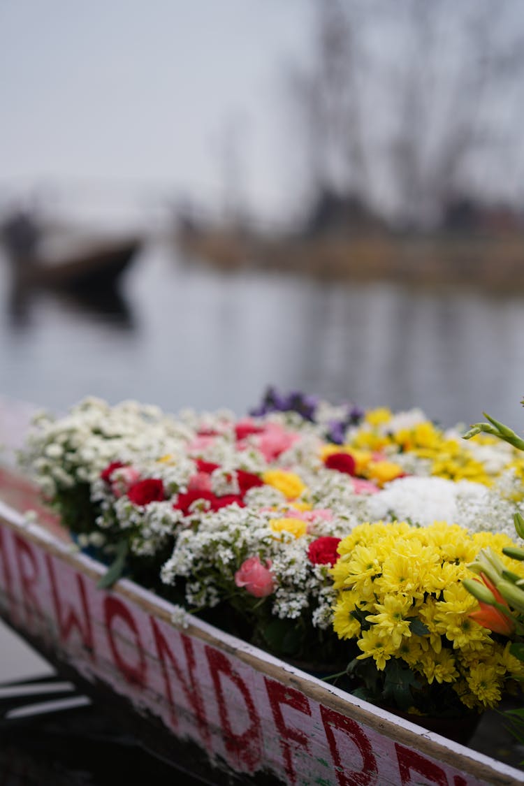 Colorful Flowers In Canoe By River Shore