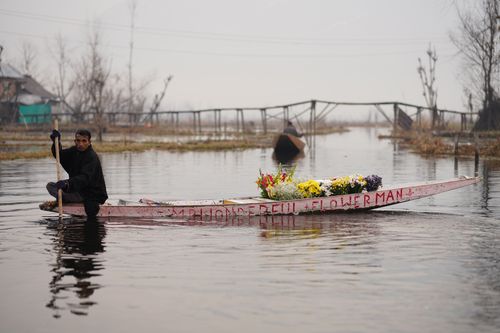 Free A man paddles a boat filled with colorful flowers on a serene river, showcasing peaceful waterside life. Stock Photo