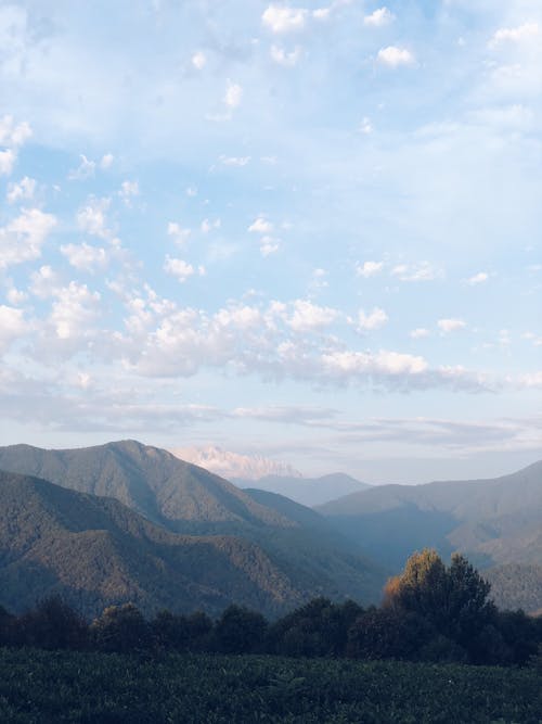 垂直拍攝, 天性, 山 的 免費圖庫相片