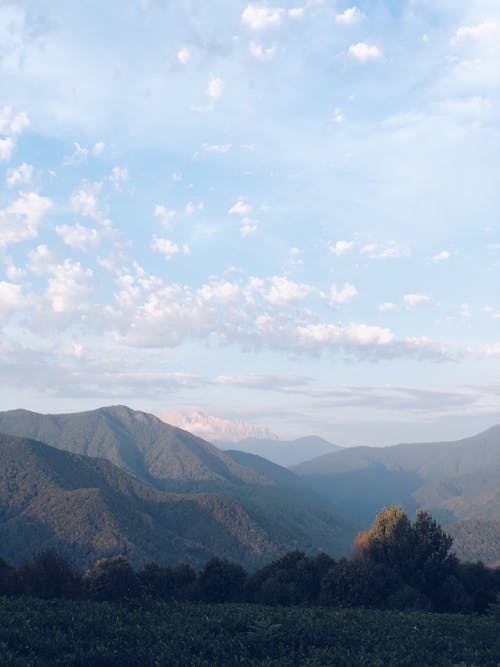 垂直拍摄, 天性, 山 的 免费素材图片