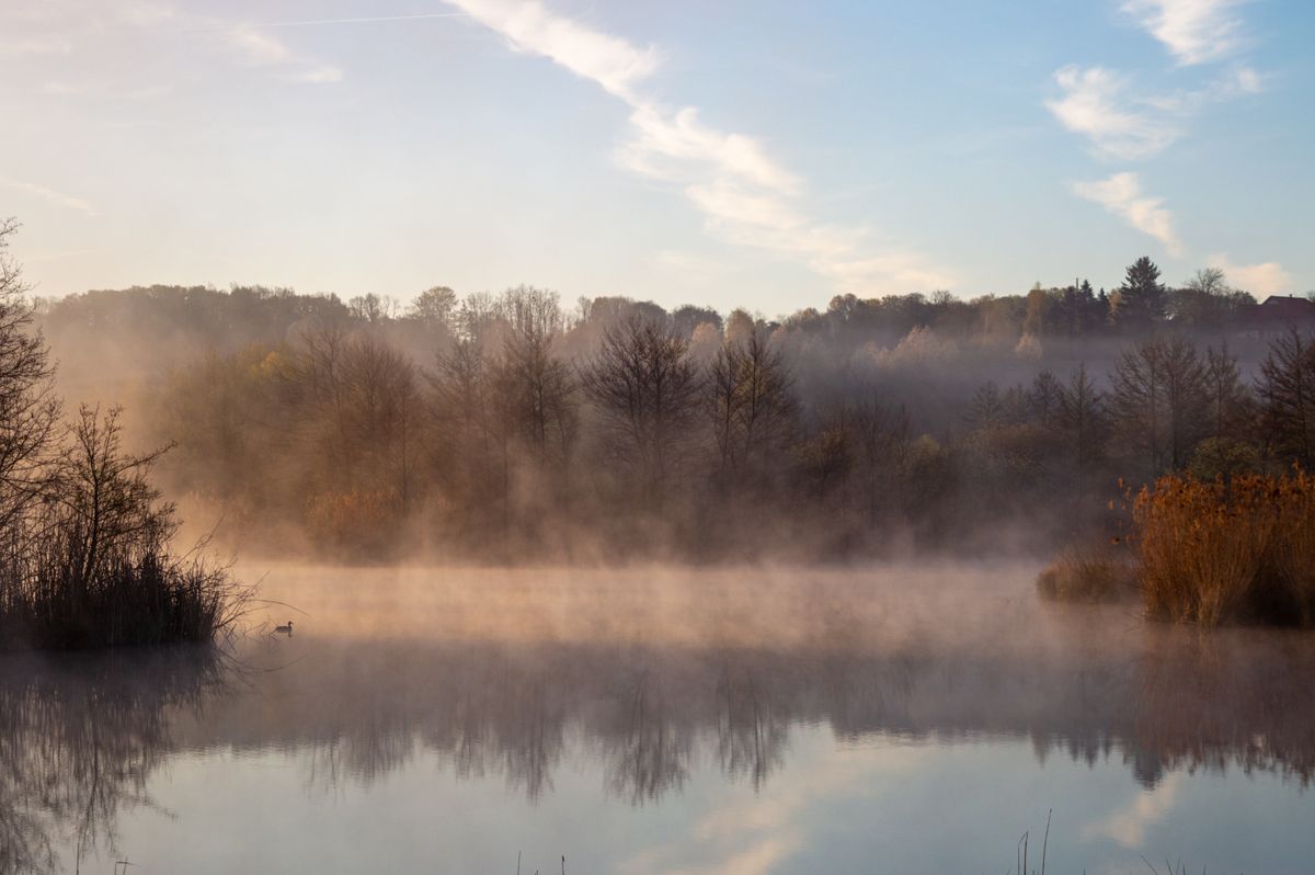 Brouillard dérivant sur un lac nordique calme au lever du soleil avec des arbres aux teintes rouille sur le rivage