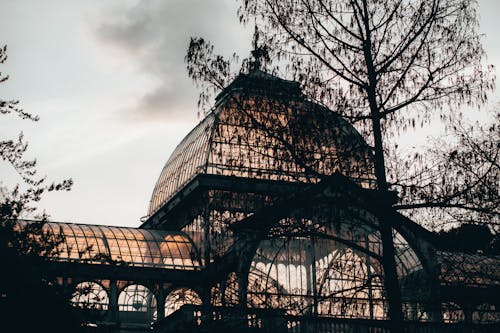 palacio de cristal, 低角度拍攝, 側面 的 免費圖庫相片