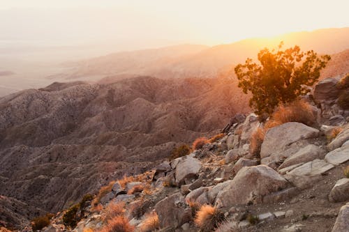 Foto stok gratis batu, california, daerah tepi sungai