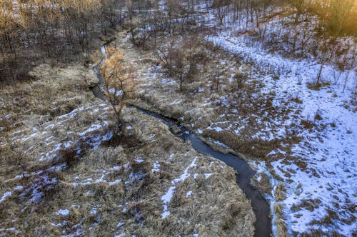 Foto d'estoc gratuïta de arbres, estret, foto des d'un dron