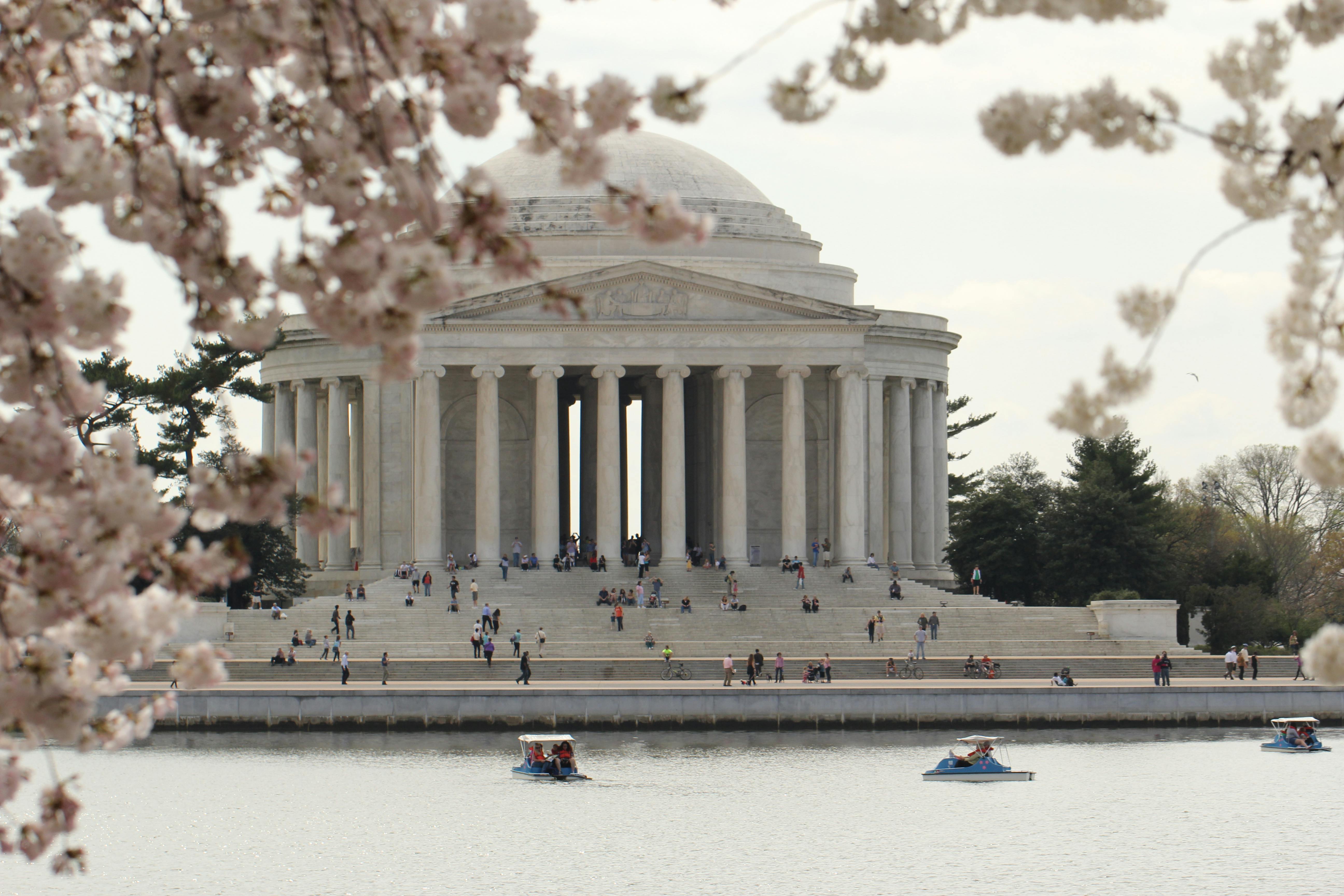 Free stock photo of cherry blossoms jefferson memorial monument Free stock photo of cherry blossoms jefferson memorial monument