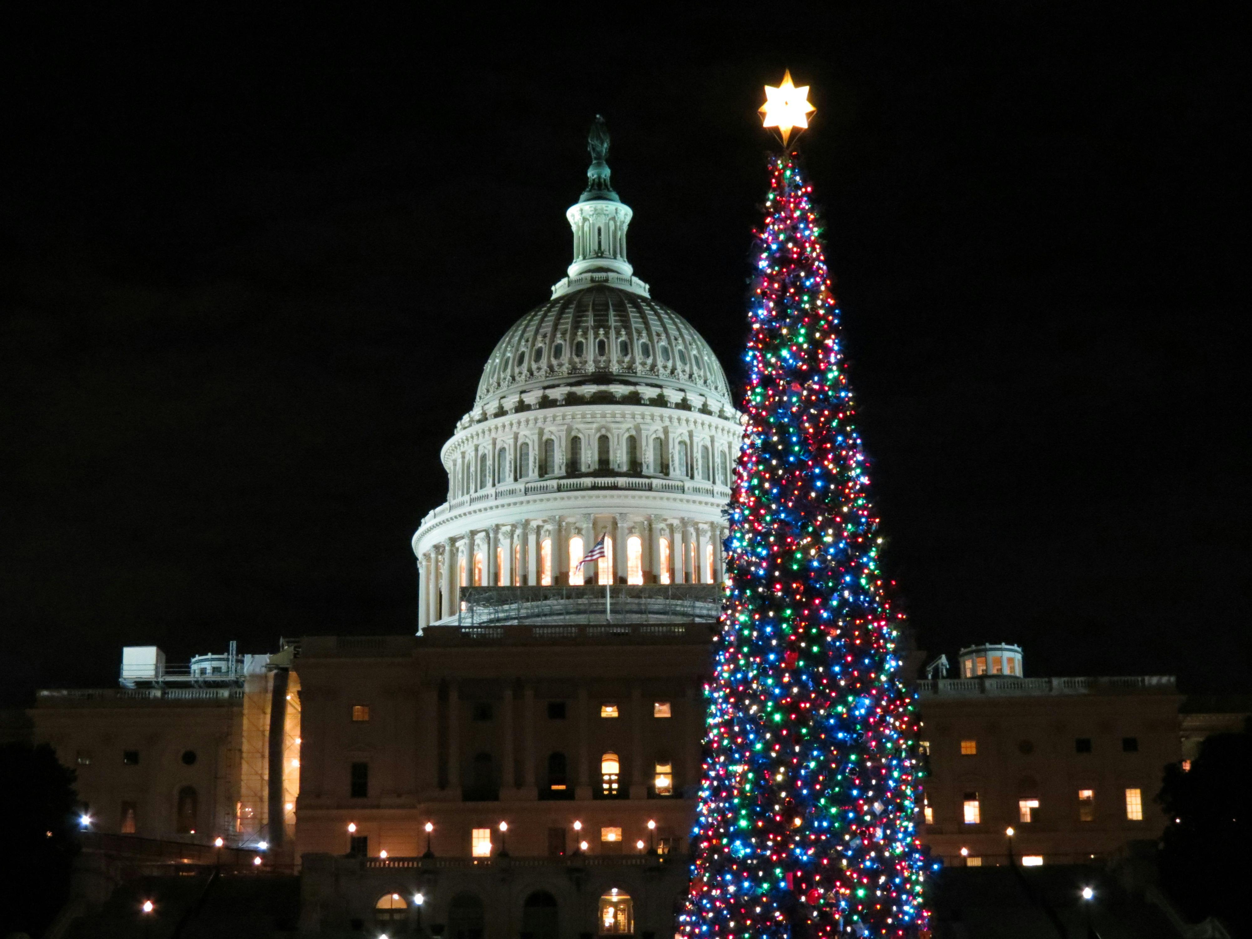 Free stock photo of christmas, us capitol, washington dc