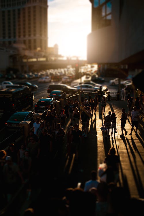 High Angle Shot of People Walking on Sidewalk During Sunset