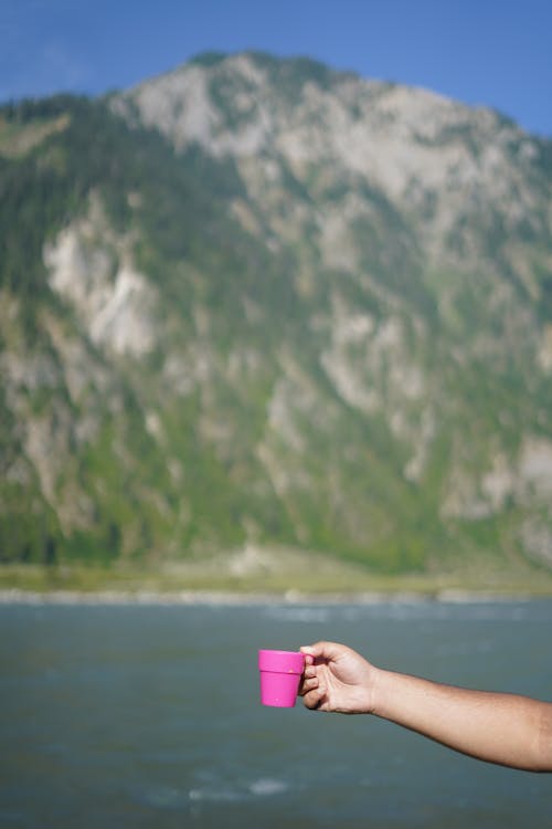 Immagine gratuita di collina, focus selettivo, lago