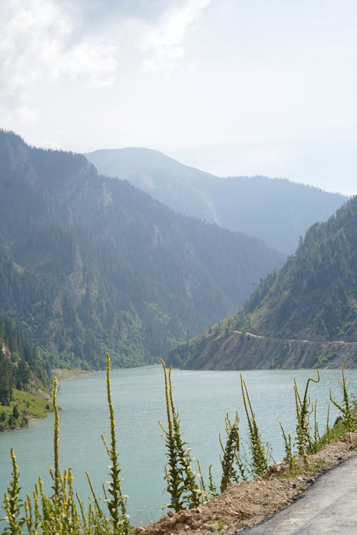 Green Mountains Near Body of Water