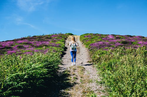 Mujer Caminando Sola En Medio Campo De Flores Moradas