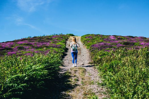 Woman Walking Alone in Between Purple Flower Field