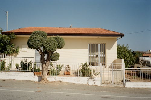 Fotobanka s bezplatnými fotkami na tému architektúra, bungalov, črepníkové rastliny