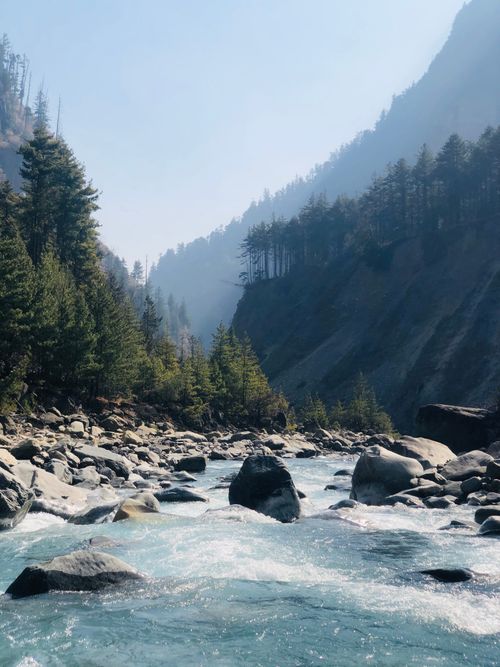 Free Tranquil mountain river flowing through a misty forest valley, with rocks and pine trees under clear sky. Stock Photo