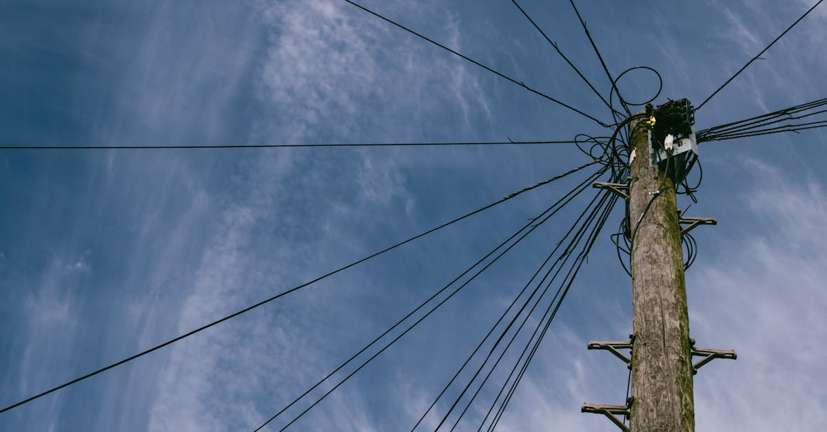 鏈博會精彩回顧 國際巨頭盛讚中國供應鏈實力