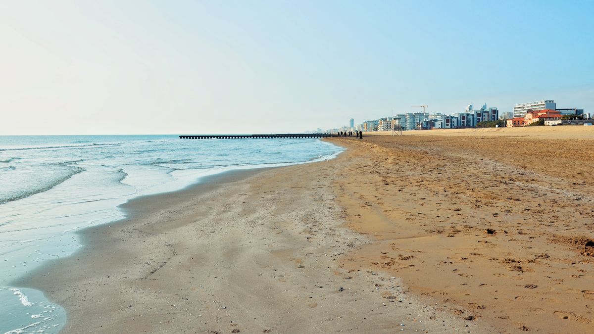Best Family Giveaways in Virginia Beach, VA: 2026 Local Guide