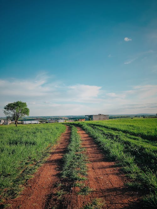 Δωρεάν στοκ φωτογραφιών με αγροτικός, γαλάζιος ουρανός, γεωργία