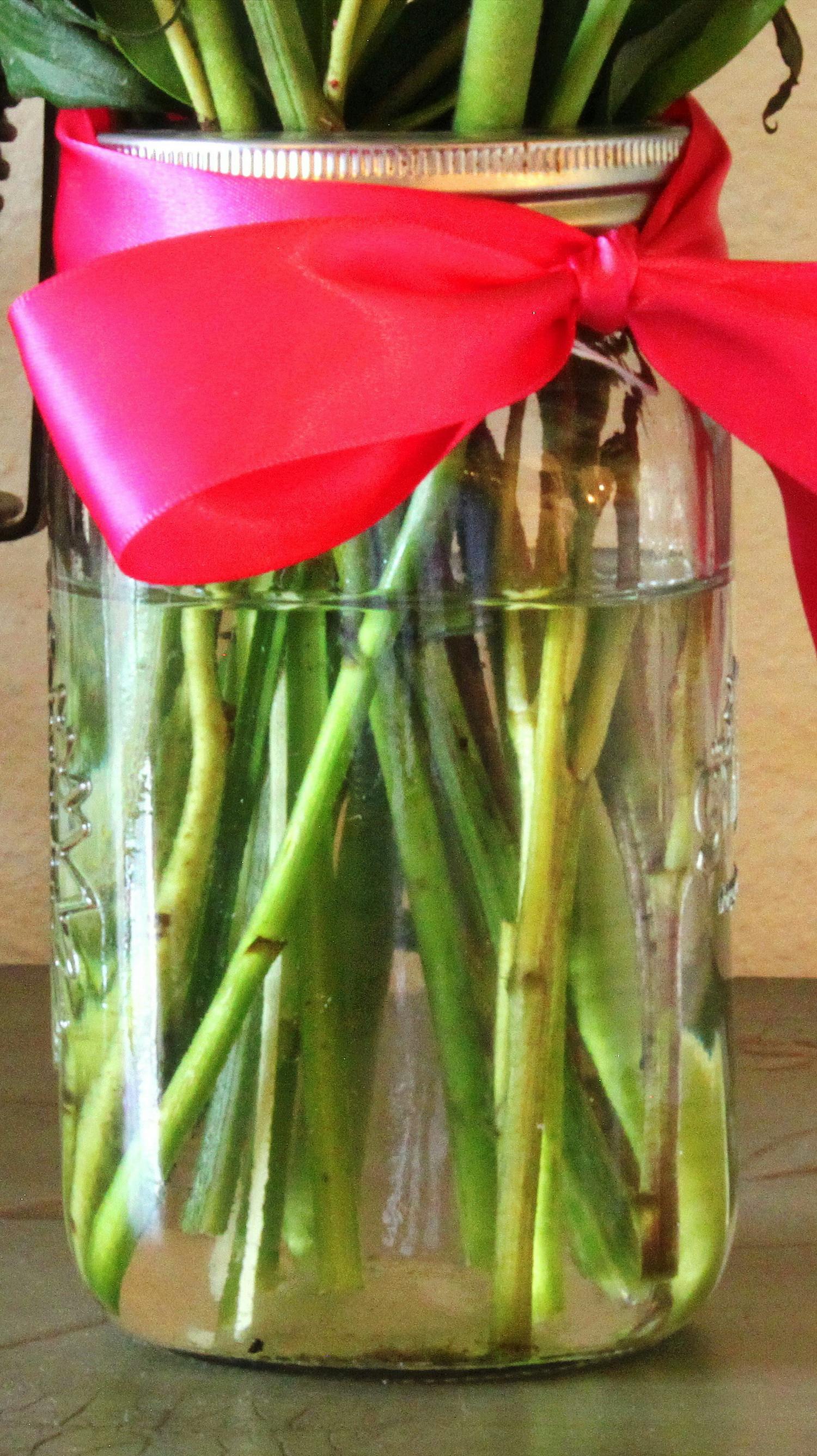 Free stock photo of canning jar, cut stems, dark green