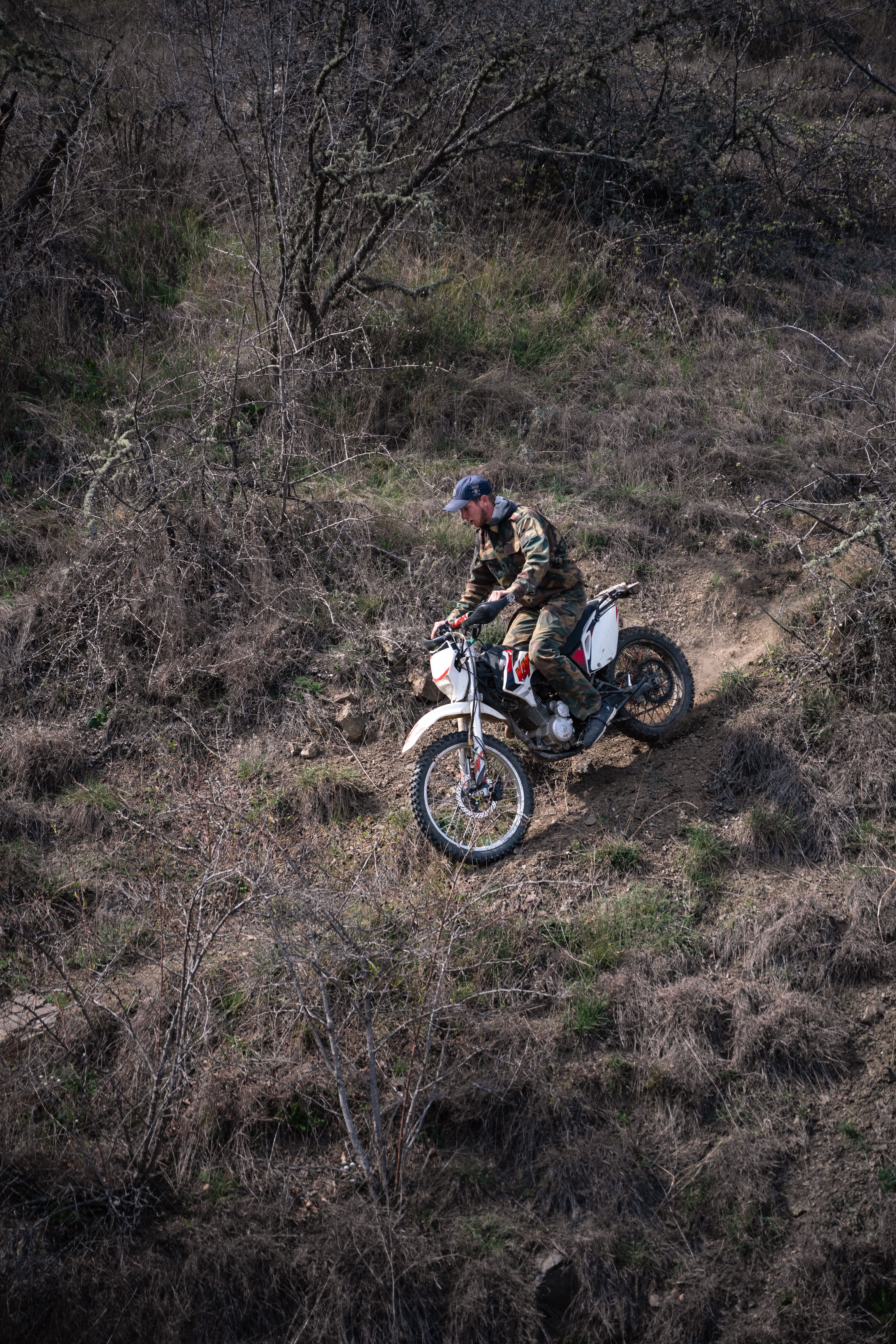 Motorcycle Parked in the Forest · Free Stock Photo