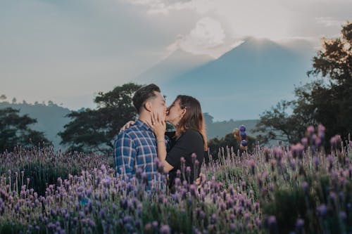 Free A Couple Kissing in the middle of the Flowers Stock Photo