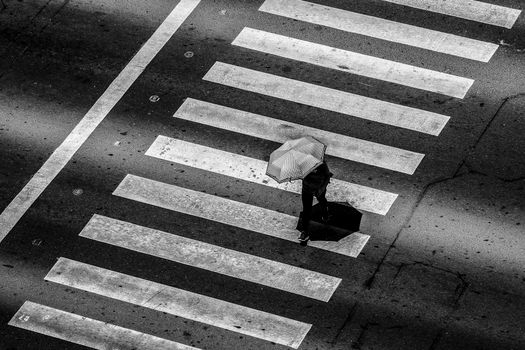A person with an umbrella crosses a pedestrian lane, captured in a monochrome style emphasizing shadows and patterns.
