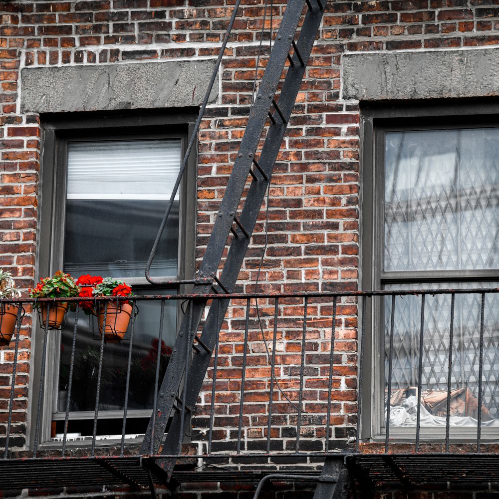 Painters and Decorators in The Hale — a freshly painted, spotless finish