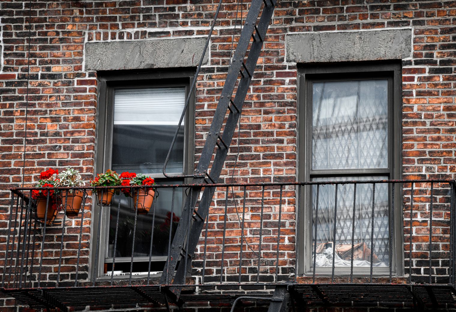 Painters and Decorators in Hampton Hill — a decorator at work mid-project