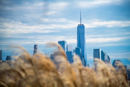 Skyline view of Manhattan with One World Trade Center behind foliage.