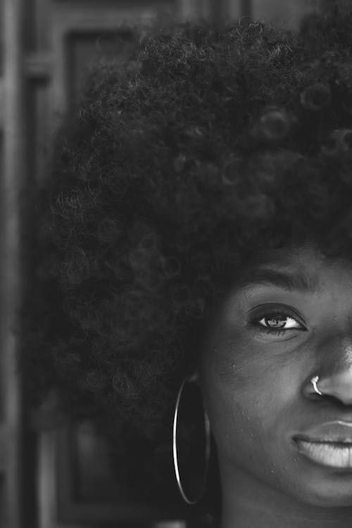 Photos gratuites de cheveux afro, demi visage, échelle des gris