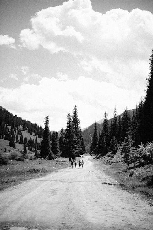 Grayscale Photo People Walking on Unpaved Pathway Between Trees 