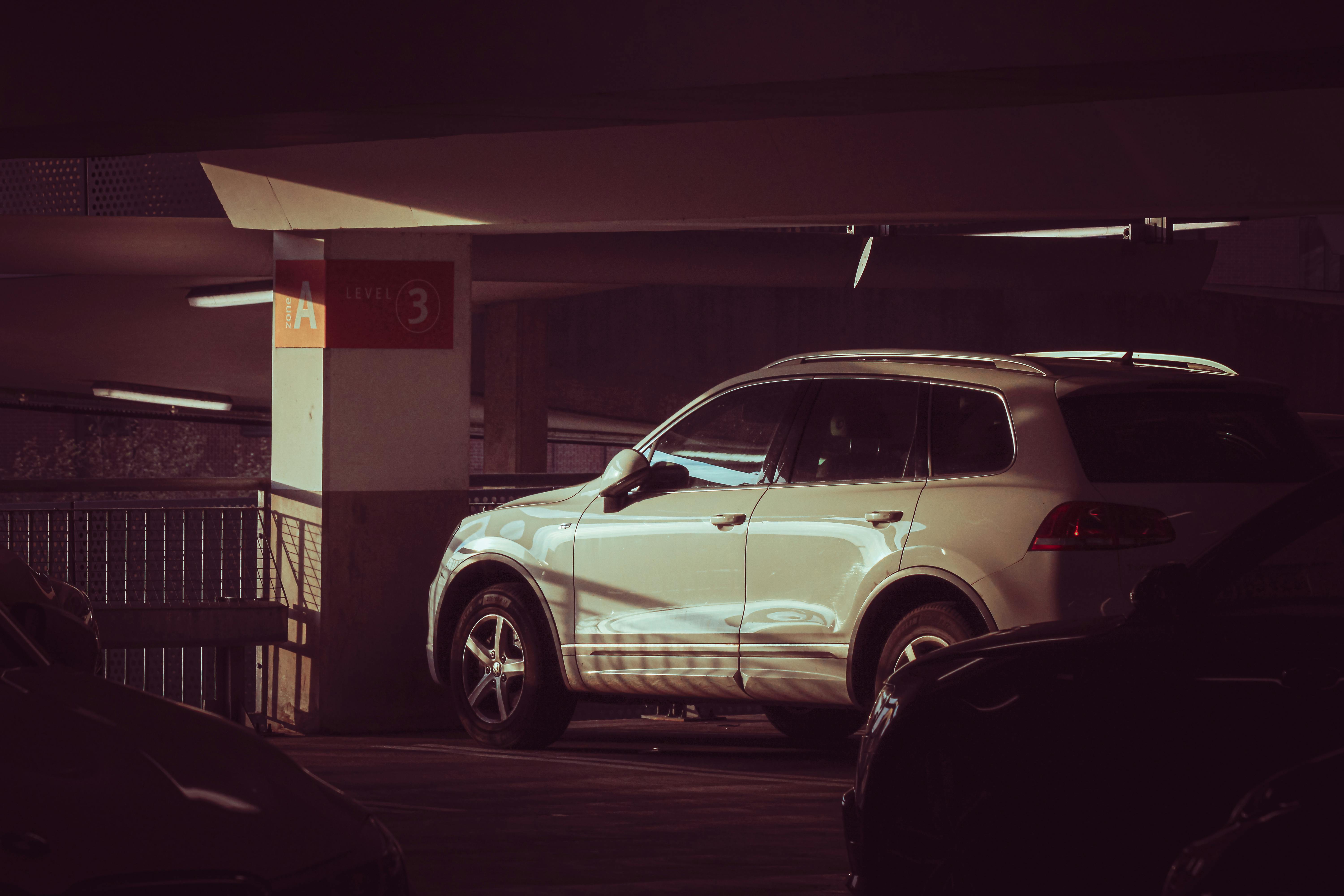 Are more deer killed by cars or hunters?