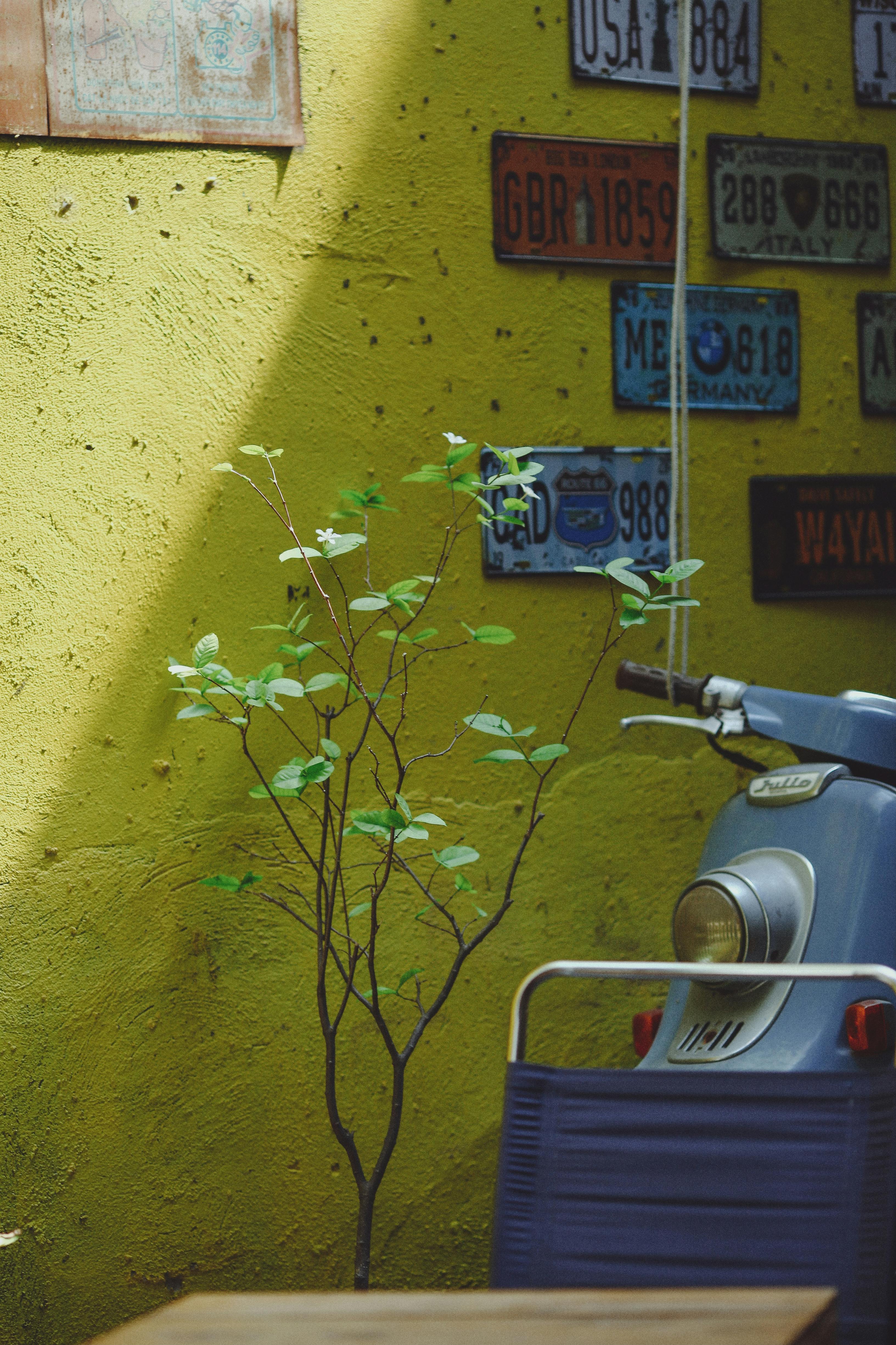 What are the signs of someone being obsessed with you?