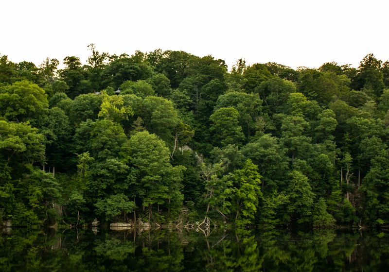 Nature landscape