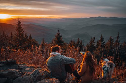 Free A couple with their dog enjoying a sunset view in the mountains, playing guitar. Stock Photo