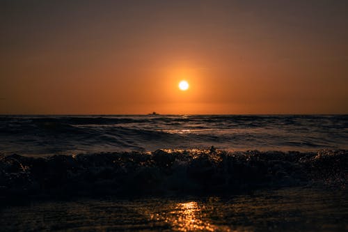 ビーチ, 旅行先, 日没の無料の写真素材