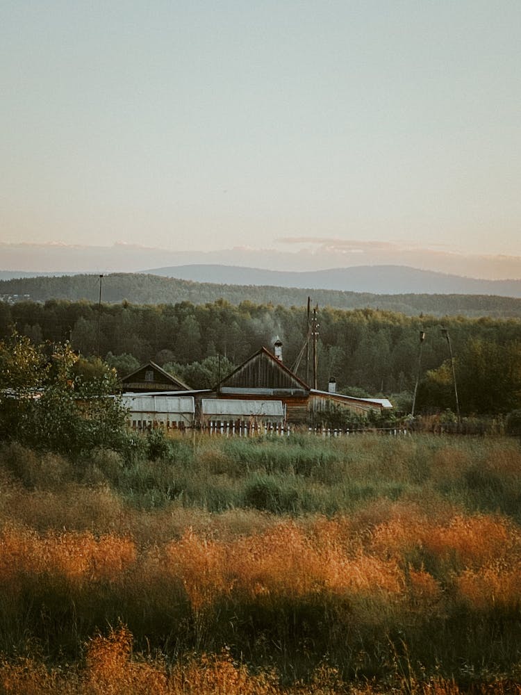 Rushes Around Farm