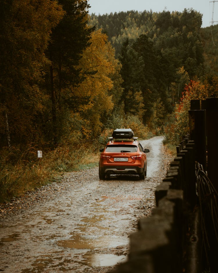 Car With Roof Box Driving Along Forest Road