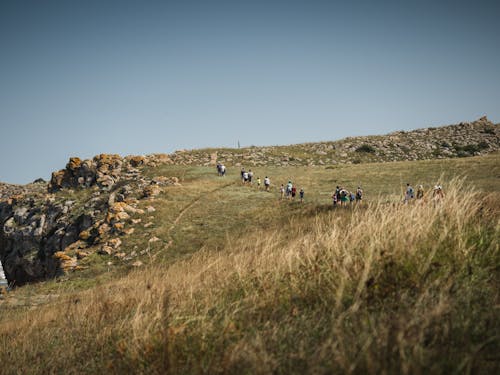 Fotobanka s bezplatnými fotkami na tému breh, hracie pole, ísť na túru