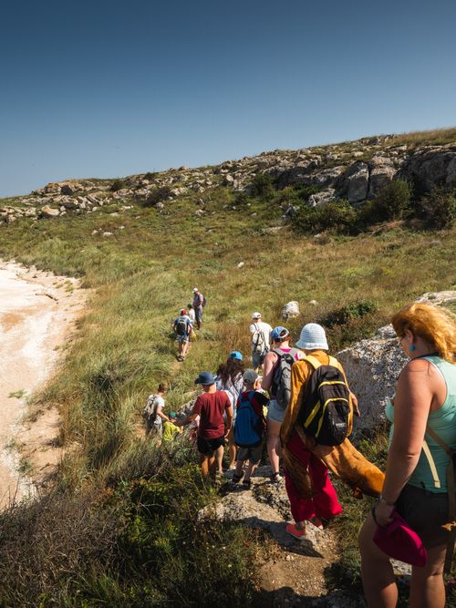 Free A diverse group of hikers walking up a mountain trail in summer. Stock Photo