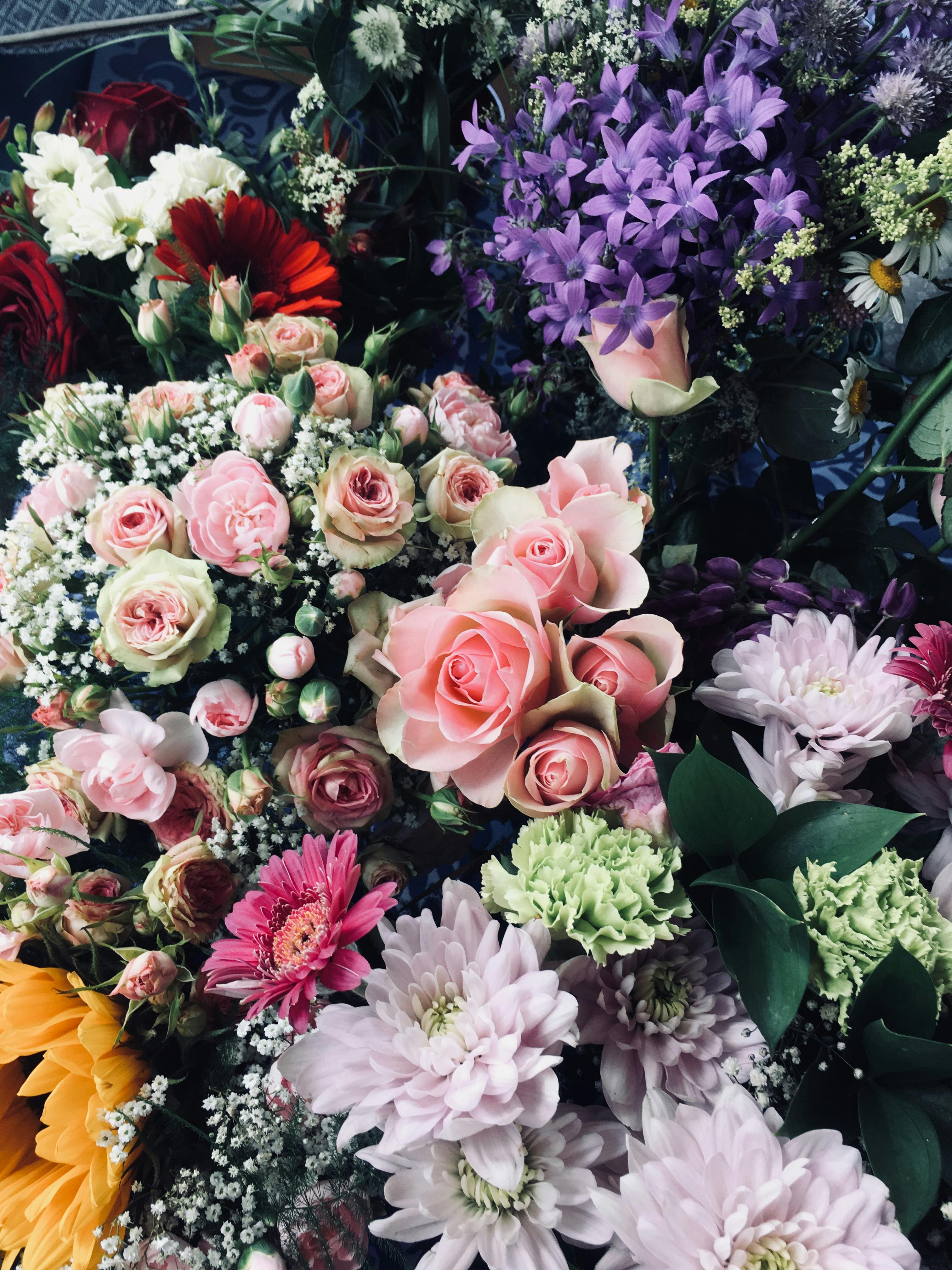 Foto Stok Gratis Tentang Bunga Bunga Indah Karangan Bunga Seikat Bunga
