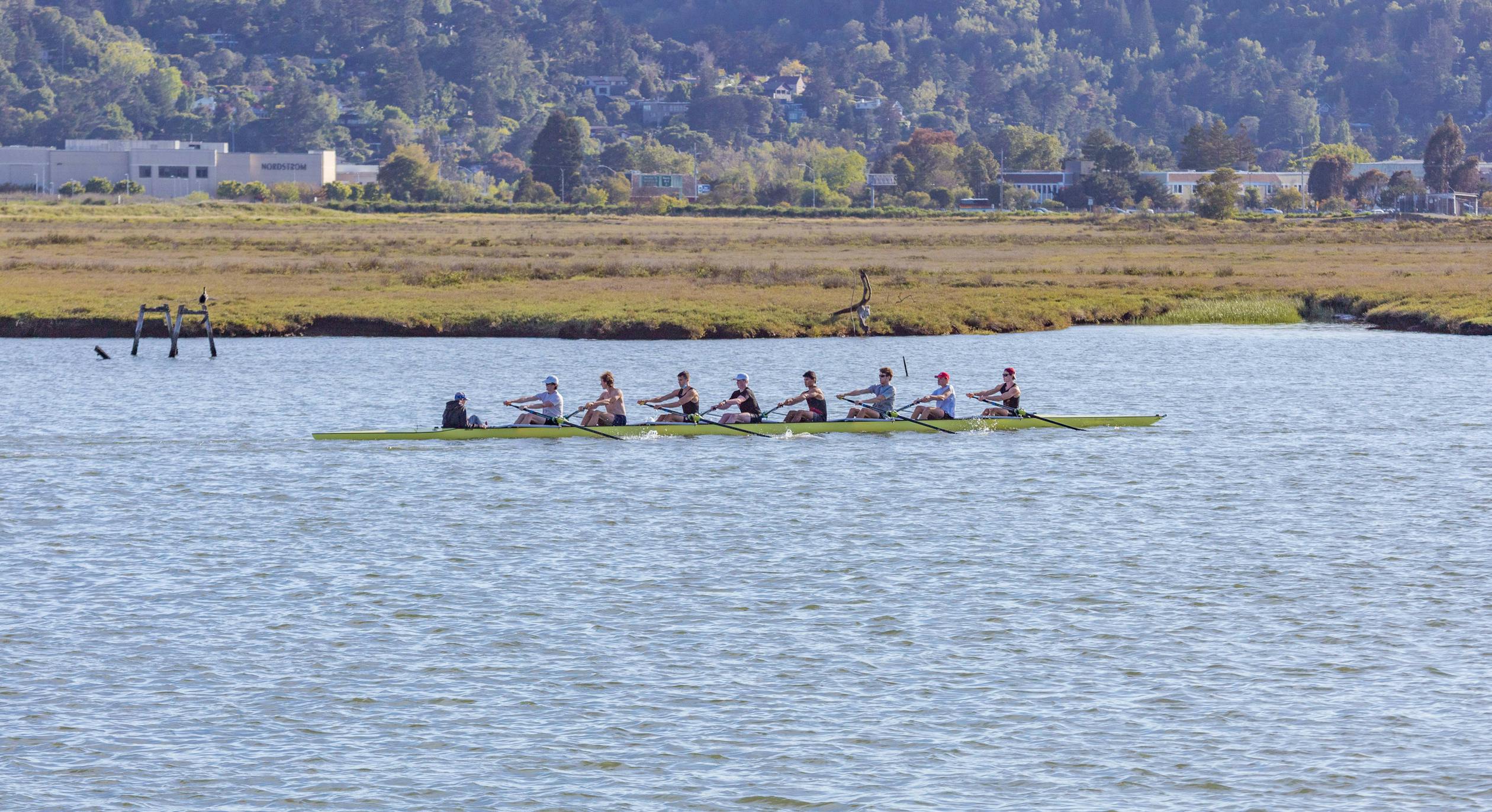 People Rowing in an Octuple Scull · Free Stock Photo