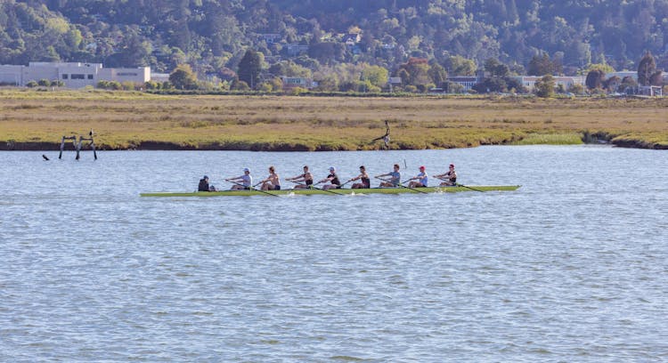 People Rowing In An Octuple Scull