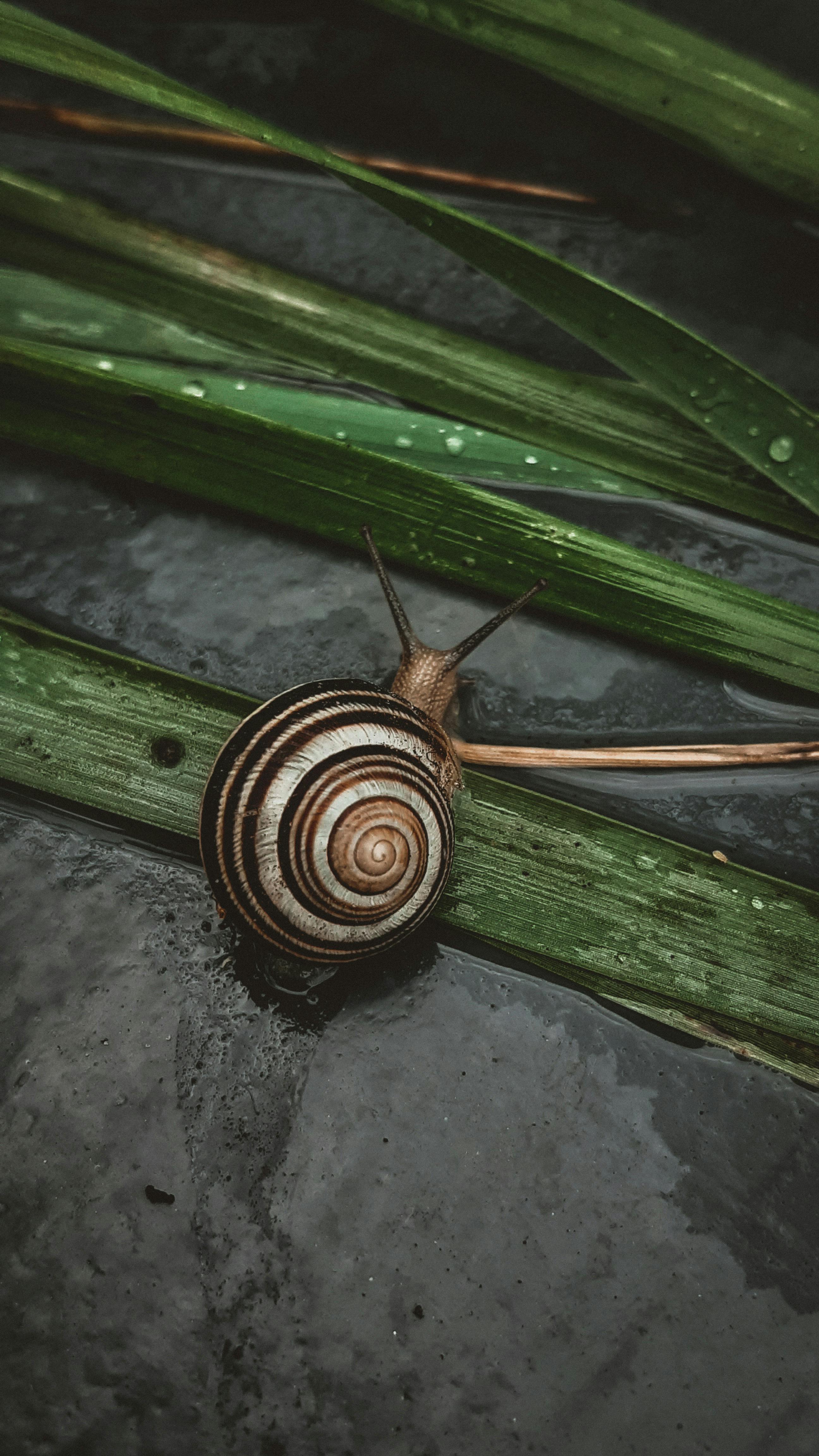 Animals 3 Photos & Videos Collected by Irina Kuzmenko