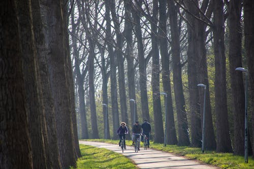 Free Three People Riding on Bicycles  Stock Photo
