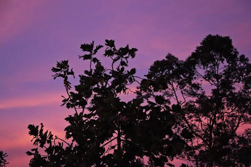 Fotobanka s bezplatnými fotkami na tému pamäť, príbeh, príroda