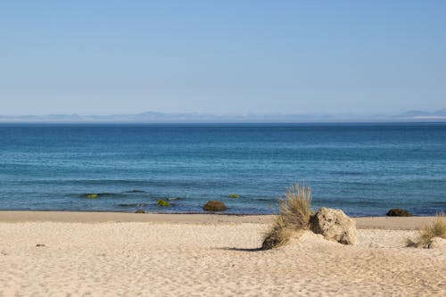 Free stock photo of africa, andalusia, beach