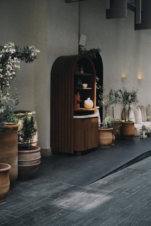 Brown Wooden Cabinet Beside the Potted Plants