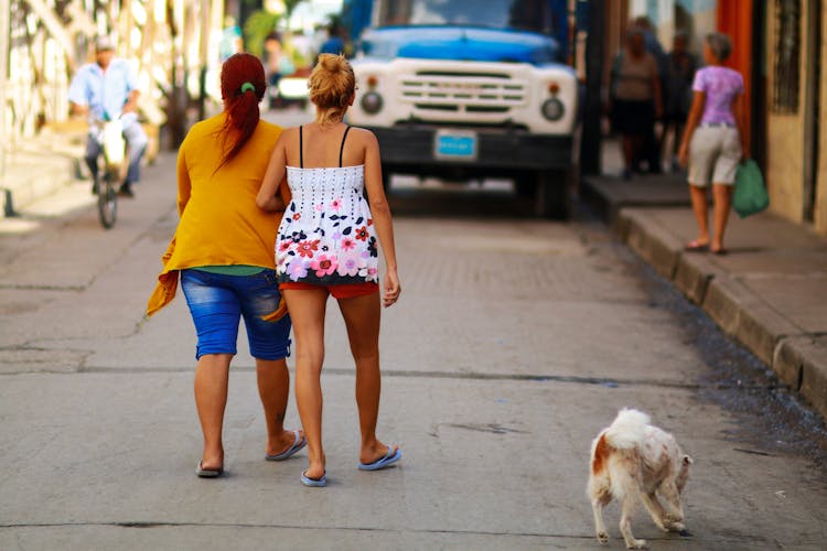 Back View Of Women Walking Near A Dog