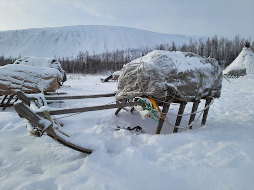 Kostenloses Stock Foto zu eis, frost, holzschlitten